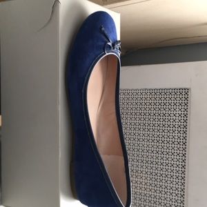 Beautiful blue suede shoes